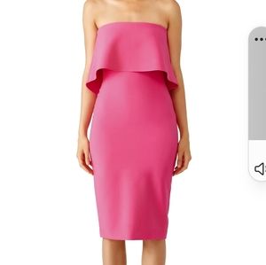 Likely hot pink Briggs dress size 10 nwt